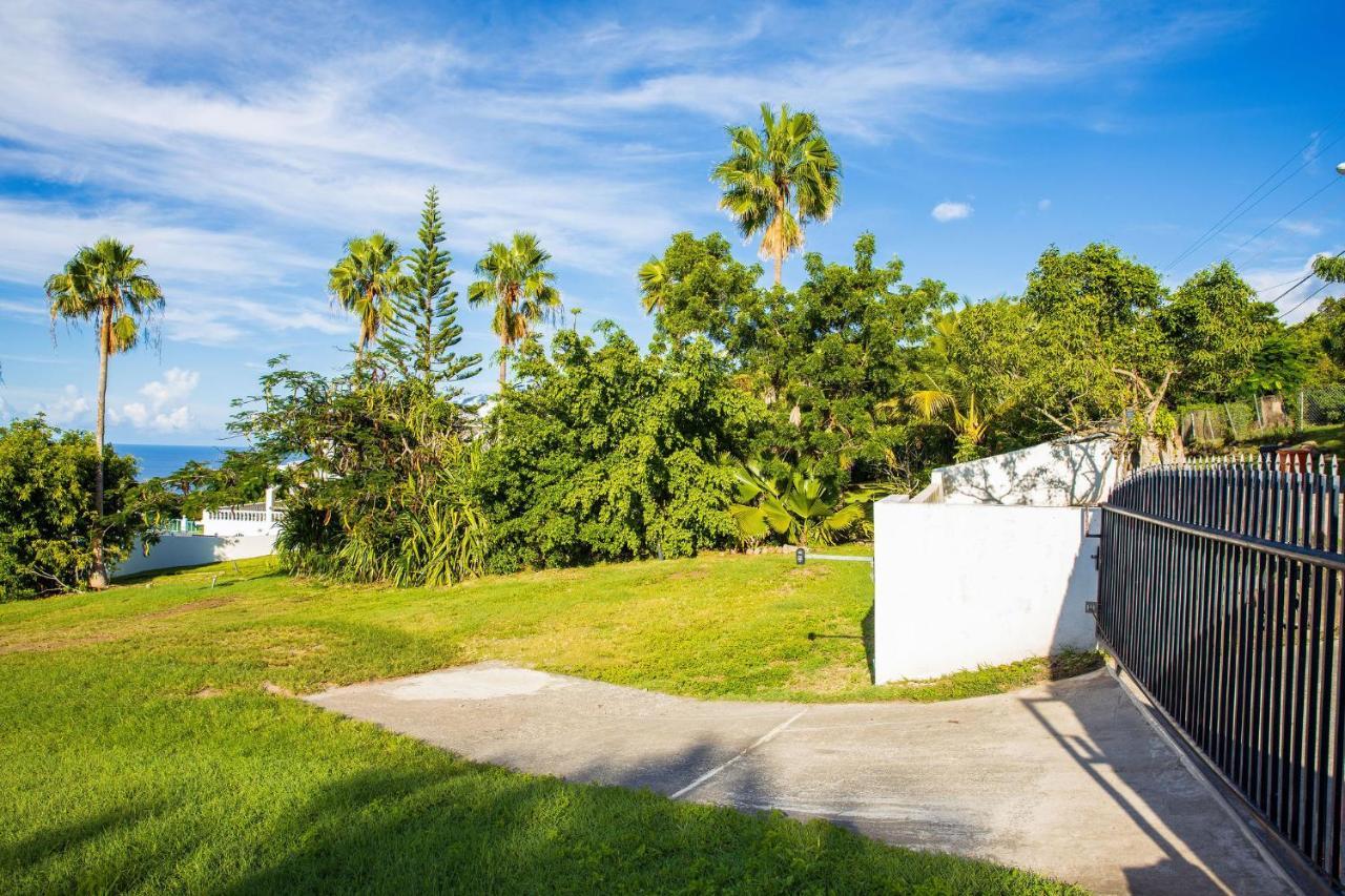 Quill Gardens Boutique Hotel Oranjestad  Buitenkant foto