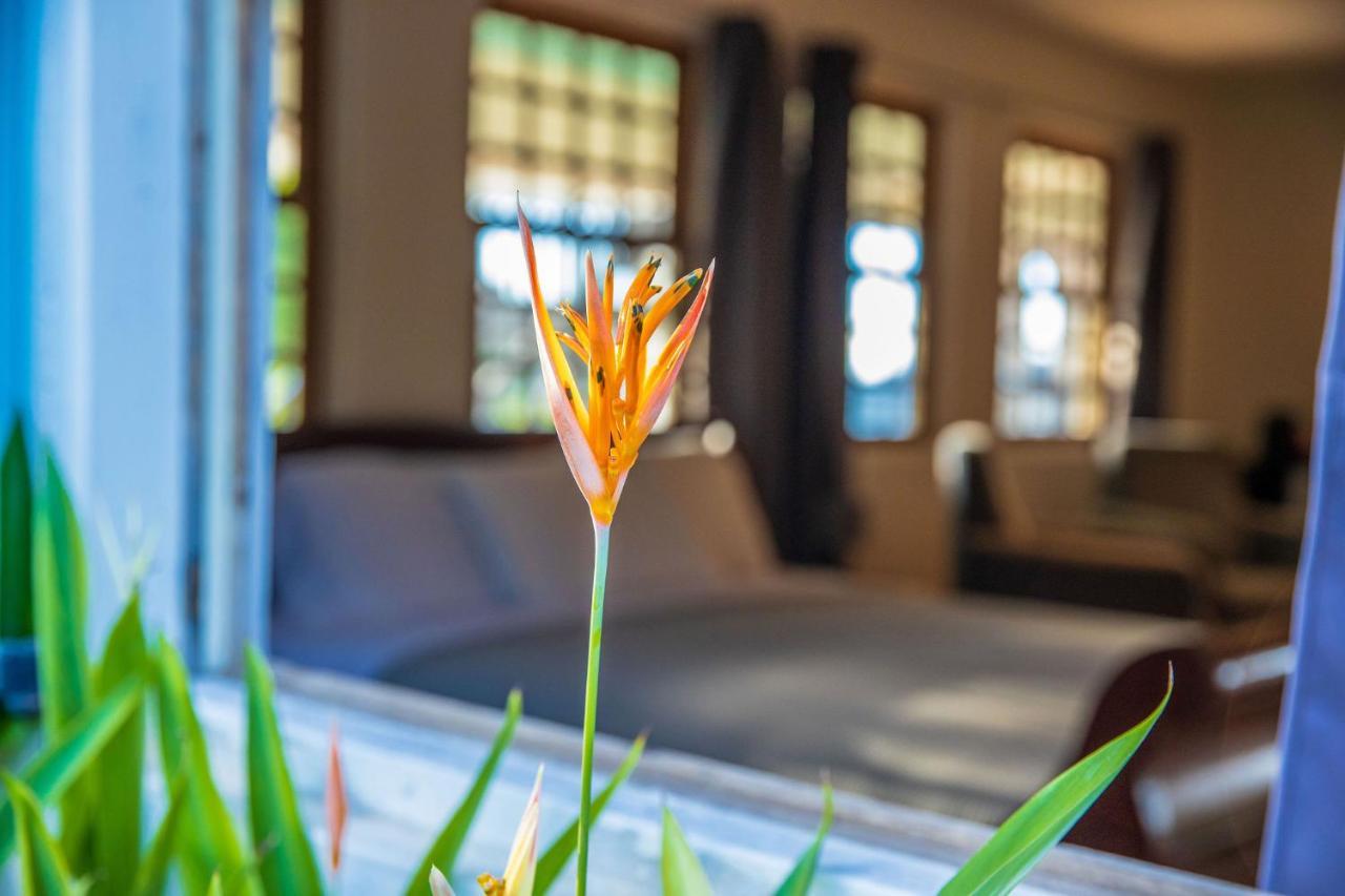 Quill Gardens Boutique Hotel Oranjestad  Buitenkant foto