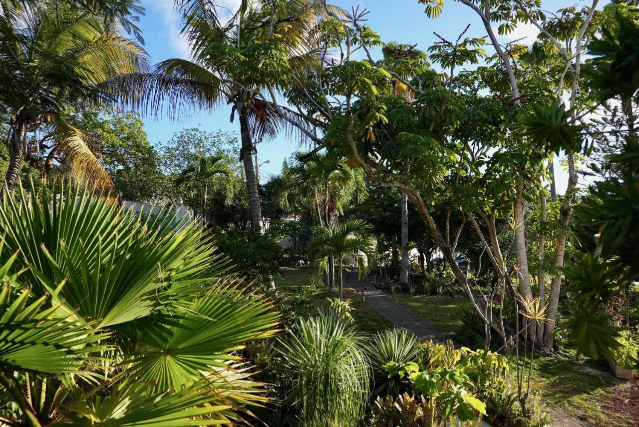 Quill Gardens Boutique Hotel Oranjestad  Buitenkant foto