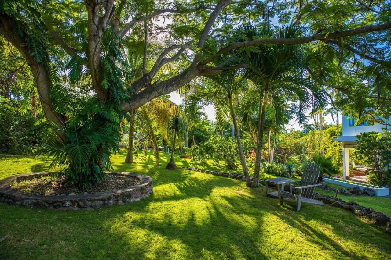 Quill Gardens Boutique Hotel Oranjestad  Buitenkant foto