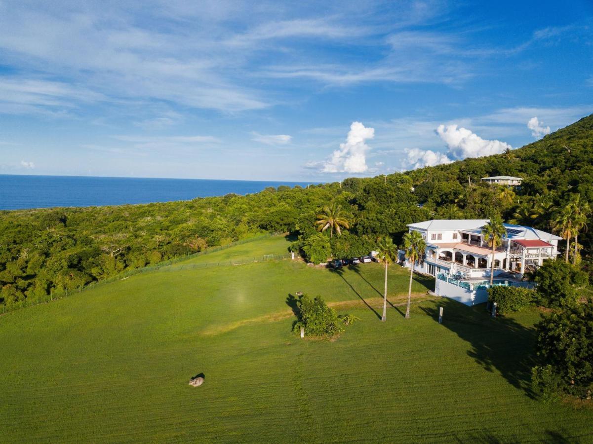 Quill Gardens Boutique Hotel Oranjestad  Buitenkant foto